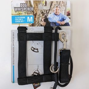 New Dog Whisperer Medium Collar & Leash set
